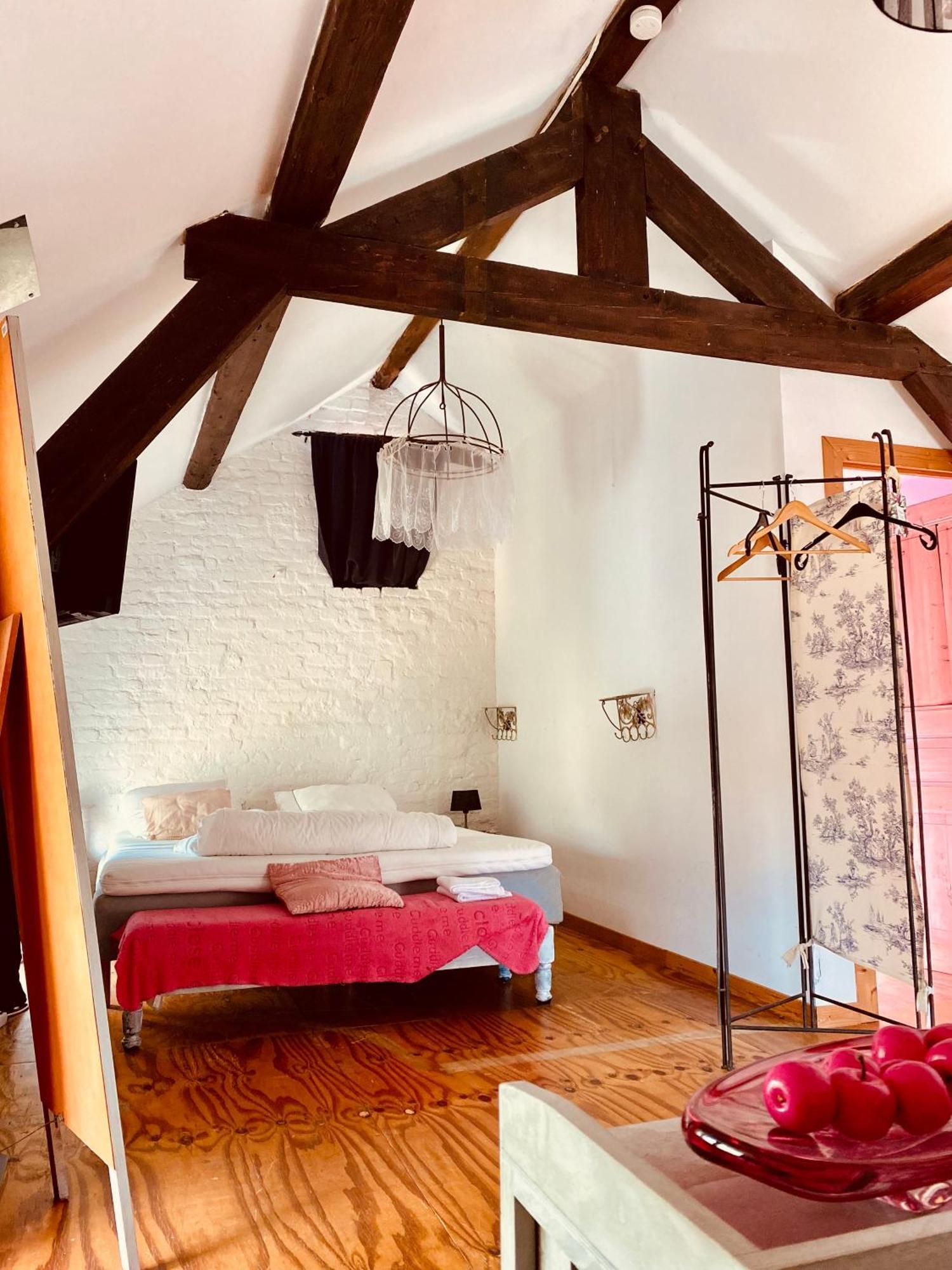 ברוו B&B Villa Belle Epoque מראה חיצוני תמונה